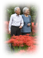 巾着田